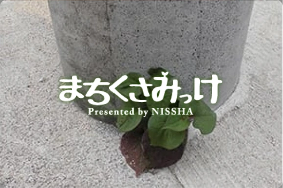 将来世代向けワークショップ